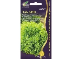 Салат семена зеленый