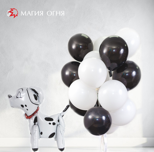 Композиция из шаров "Далматинец" с гелием
