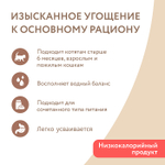 Влажный дополнительный корм для кошек и котят старше 6 месяцев Мнямс на каждый день курица с лососем в нежном желе 80 г 24 шт