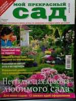 Мой прекрасный сад, июль 2006
