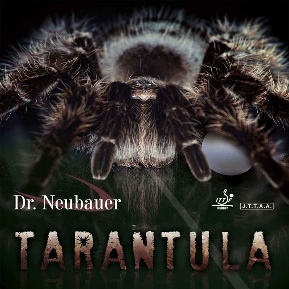 DR NEUBAUER Tarantula