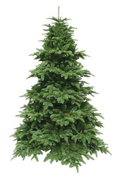 Ель Нормандия 215см темно-темно зеленая Triumph Tree