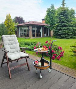 Сервировочный столик JK-D191