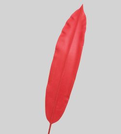 TR 526 Банановый лист