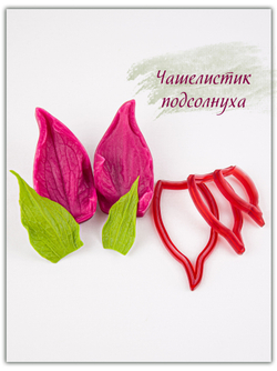 Чашелистик подсолнуха