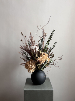 Композиция в кашпо Цинародиес