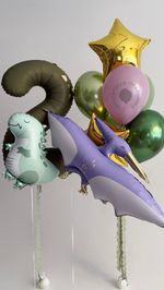 Воздушные шары для мальчика №9043