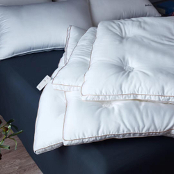 PLANTINUM Одеяло, Египетский хлопок, Шелк шелкопряда 200х230 Двуспалка