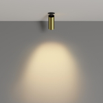 Спот светодиодный Maytoni FOCUS LED C053CL-L12W2.7K-W-BS