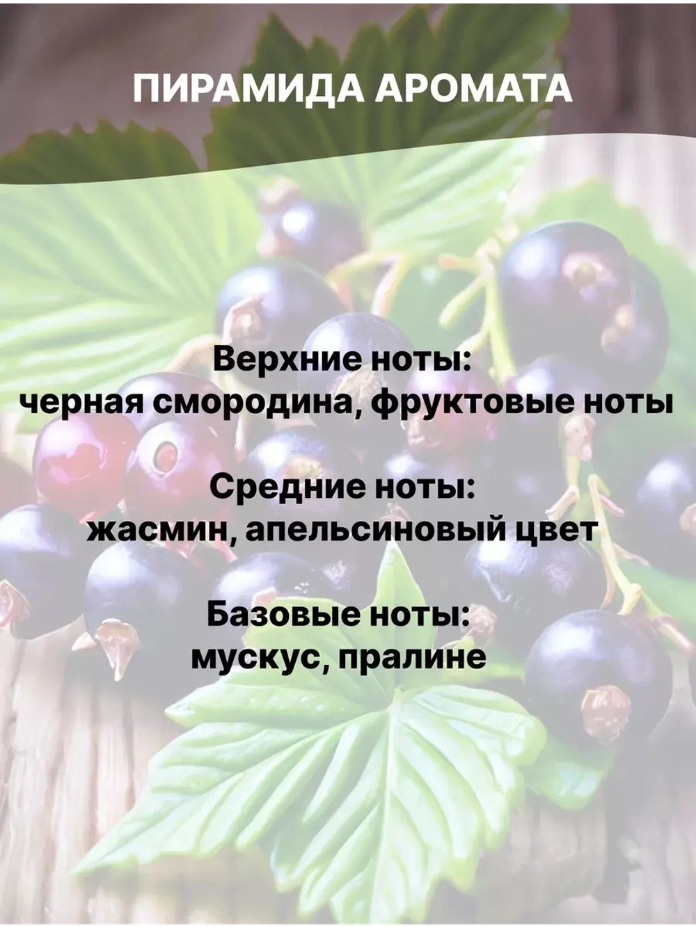 Отдушка Смородина чёрная 100 гр