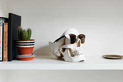 Органайзер для мелочей Skull белый