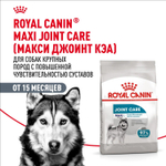 Royal Canin Maxi Joint Care Корм сухой для взрослых собак крупных размеров 10кг