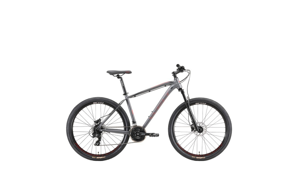 Горный велосипед Welt Raven 1.0 HD 29 (2023)