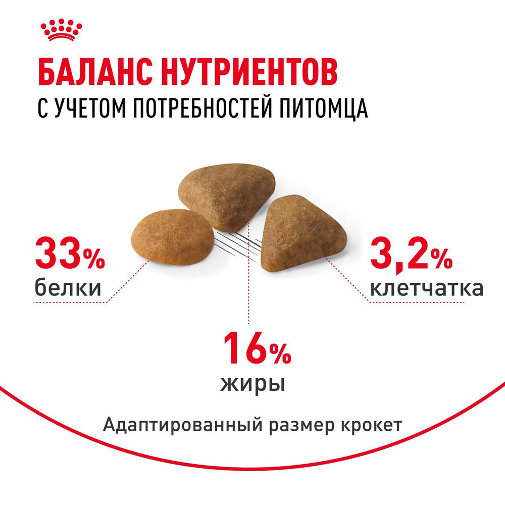Royal Canin Savour Exigent Корм сухой сбалансированный для привередливых взрослых кошек 2 кг