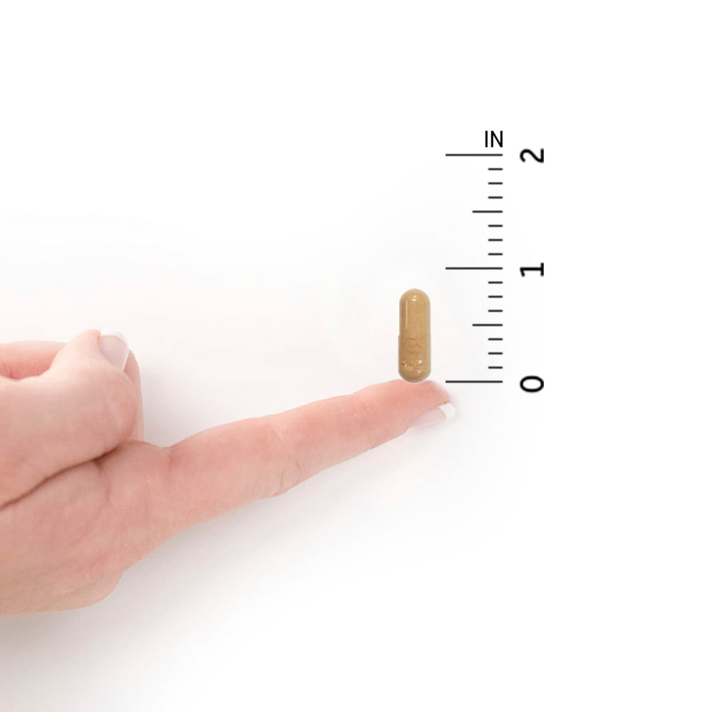 Garden of Life, Vitamin Code, RAW Prenatal, 90 вегетарианских капсул