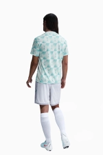 Футболка Nike Норвегия 2025 Academy Pro