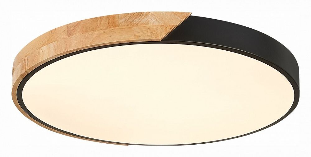 Накладной светильник EVOLUCE Festa SLE200942-01