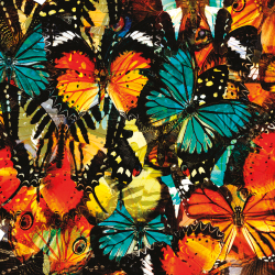 Коллекция Животные