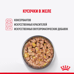 Влажный корм Royal Canin Kitten Sterilised для стерилизованных котят, в желе, 85 г