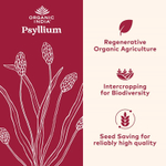 Organic India, подорожник, клетчатка из цельной шелухи, 340 г (12 унций)