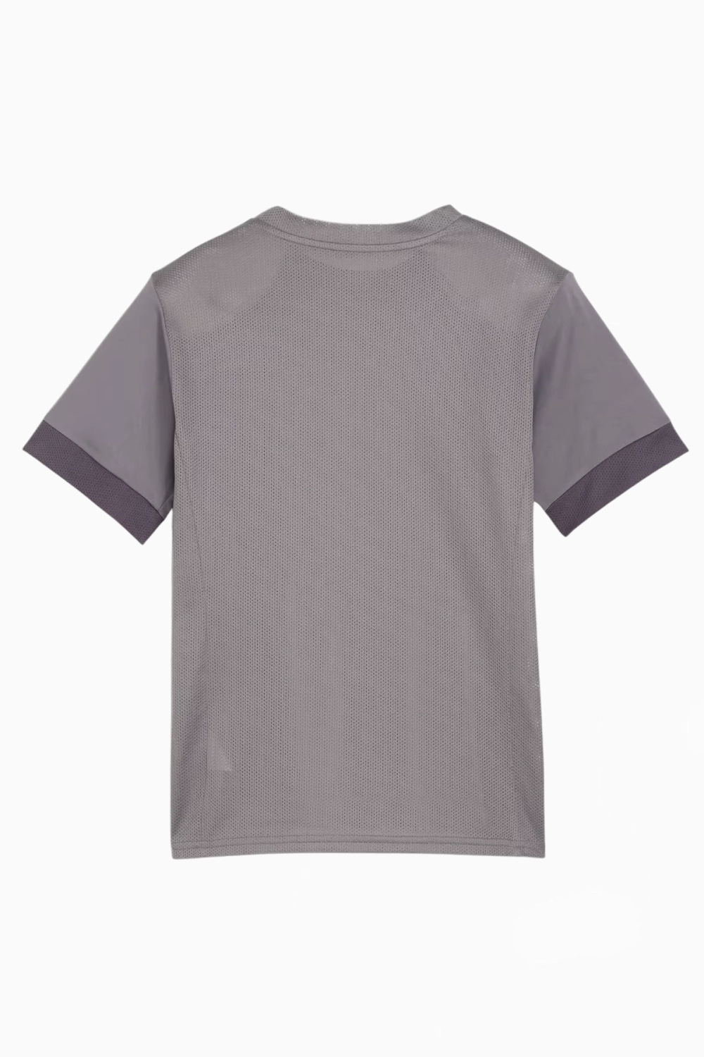 Футболка Puma teamGOAL Matchday Junior - серый