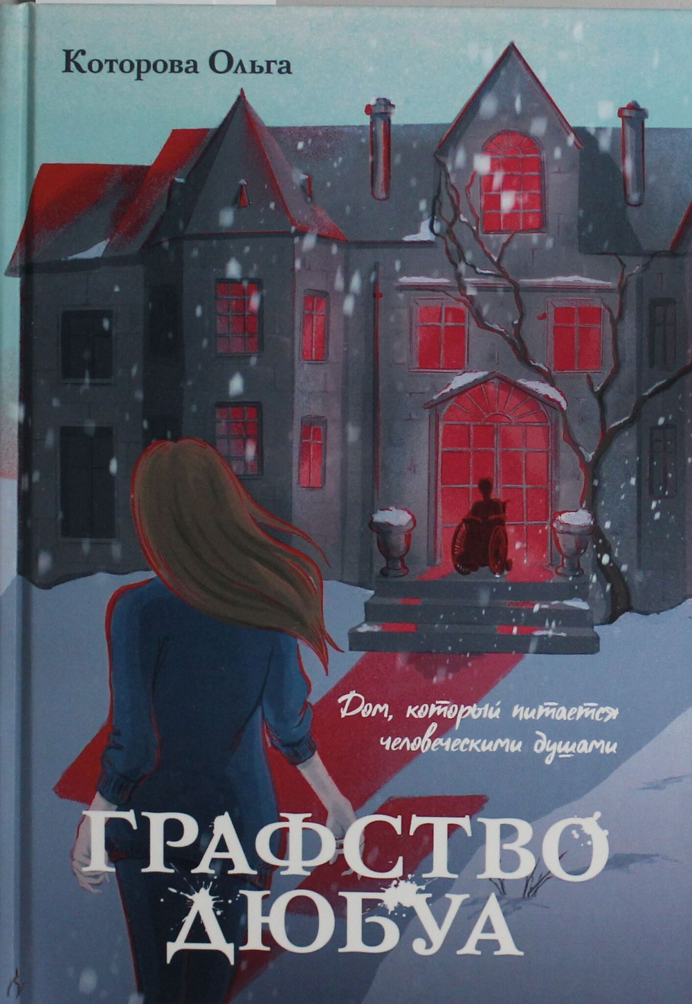 Графство Дюбуа
