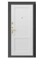 Входная дверь Comfort MP 2.1
