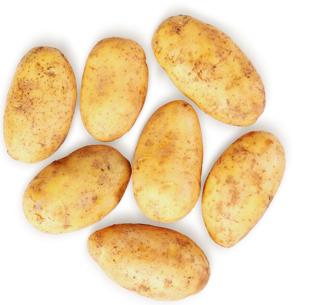 Картофель новый урожай