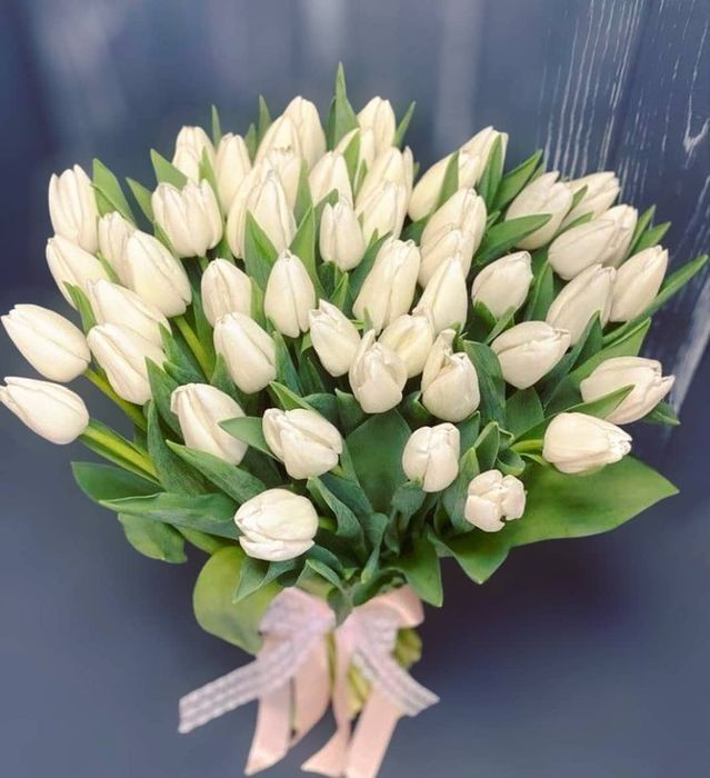 Букет 51 тюльпан (Б-182)