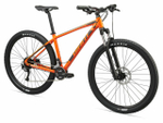Горный велосипед Giant Talon 29 2 (2020)