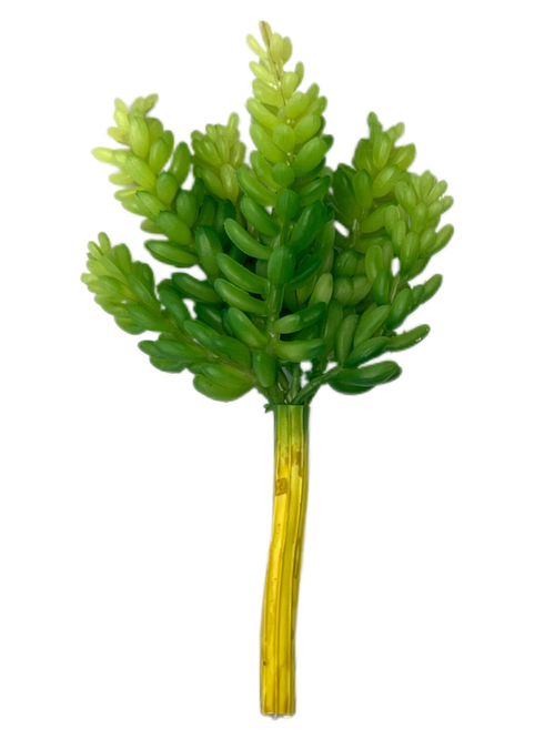 Суккулент 118 зеленый