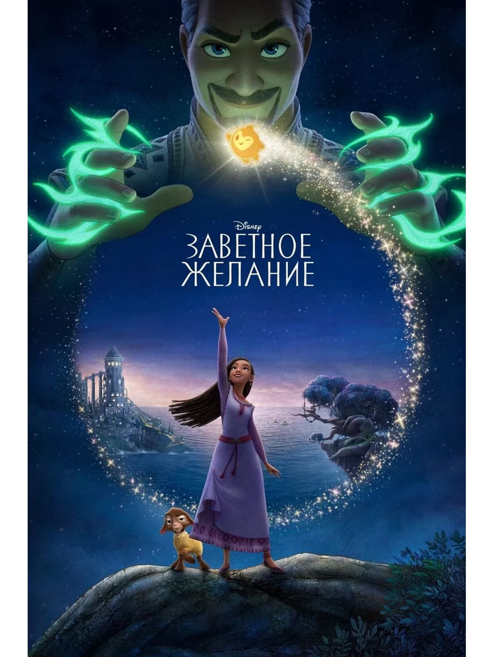 Заветное желание (2023) (DVD-R)