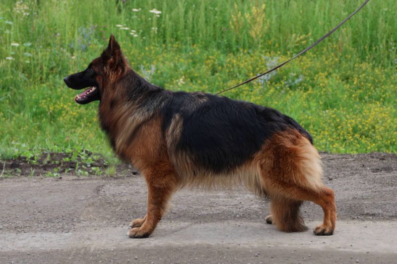 ЕВЛАМПИЯ ИЗ ПОМЕСТЬЯ БОГОВИК