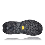 Кроссовки мужские HOKA M ANACAPA LOW GTX Black / Black