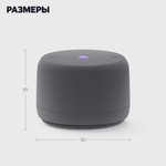 Умная колонка Яндекс Станция Лайт 2 YNDX-00028 серый