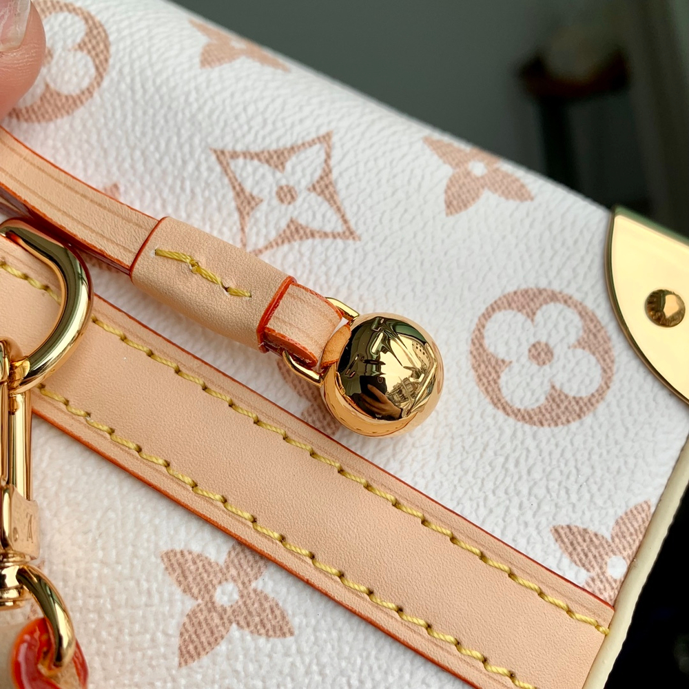 Louis Vuitton Noe Purse