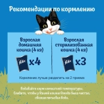 Природа вкуса говядина в соусе, 75г влажный корм для кошек Felix 75г