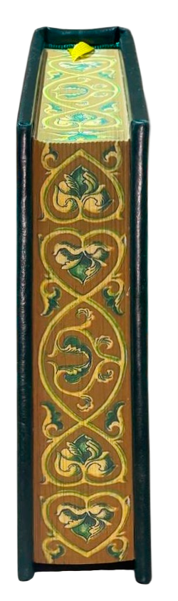 photo_2026-01-15_11-28-34-Photoroom