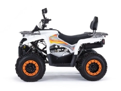 Квадроцикл MOTAX Grizlik 200 Ultra