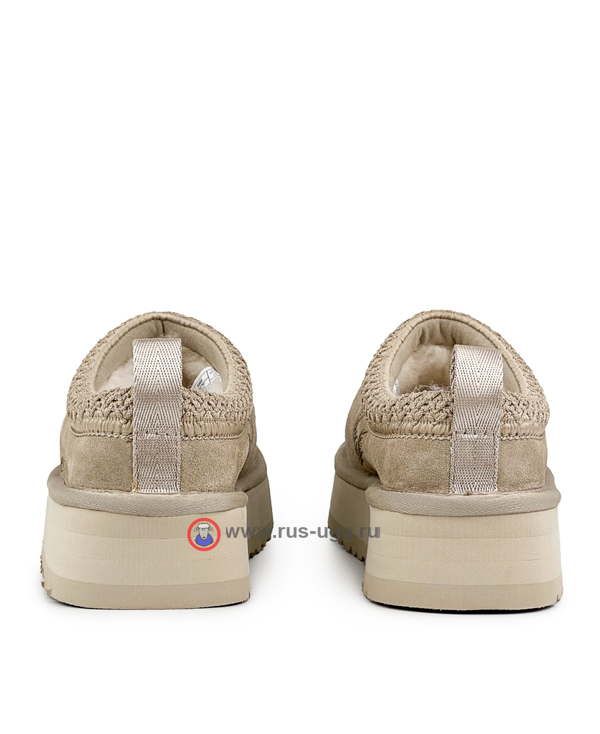 TAZZ Erewhon Camel
