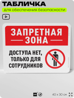 Табличка для обеспечения безопасности "Запретная зона, доступа нет", для офиса, по охране труда для предприятия, организаций, 40х30 см, Silver Plane x Айдентика Технолоджи