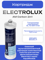 Картридж Electrolux AM Carbon 2in1