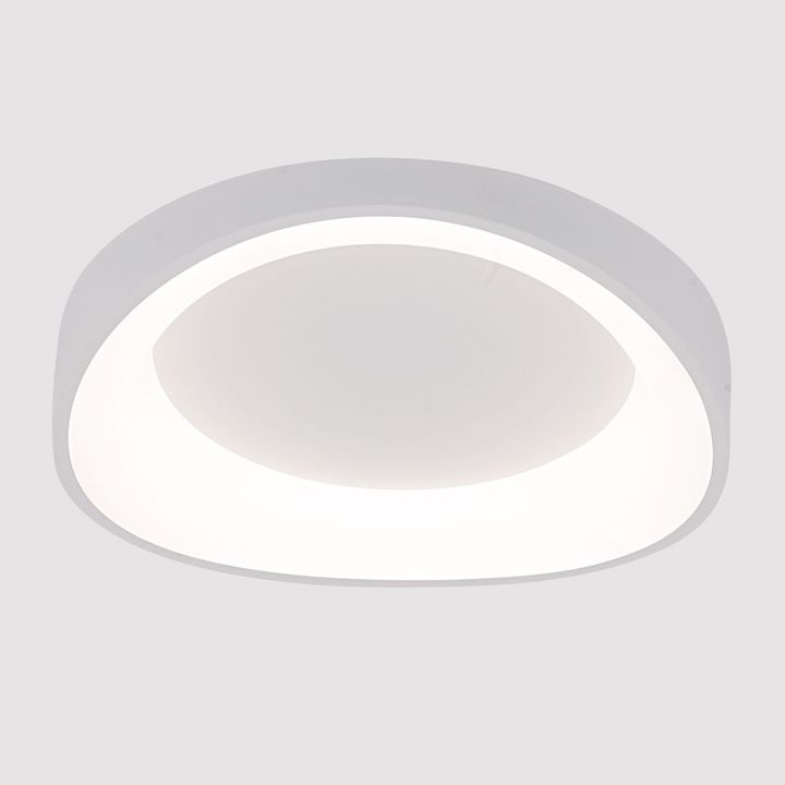 Потолочный светодиодный светильник Arte Lamp Sualocin A2698PL-48WH
