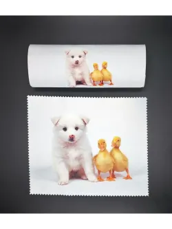 Футляр для очков