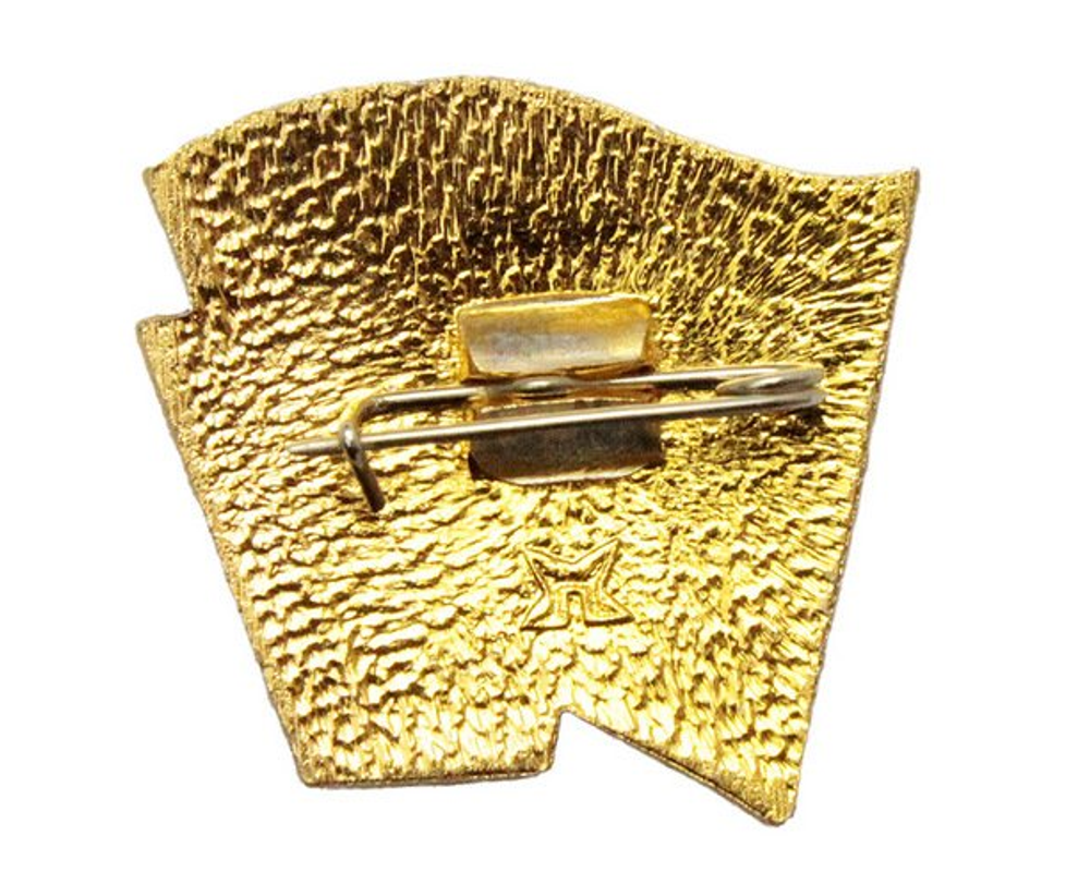 Значок СССР - Старший Пионер.