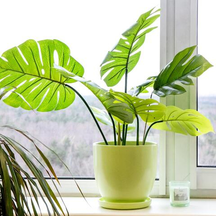 Керамический горшок "Бутон" с подставкой, 2,4л., Д173 Ш173 В160, нежно-салатовый