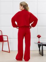 Брюки Баланс-2 Виотекс КРАСНЫЙ