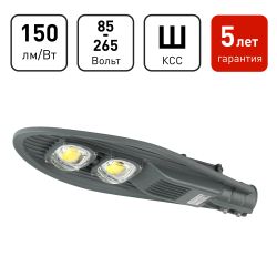 Уличный светильник ЭРА SPP-5-120-5K-W 120Вт 5000К 18000лм IP65 КСС Ш IC-COB 48-60мм