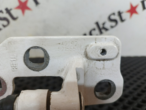 Петля двери правой 2020 год.