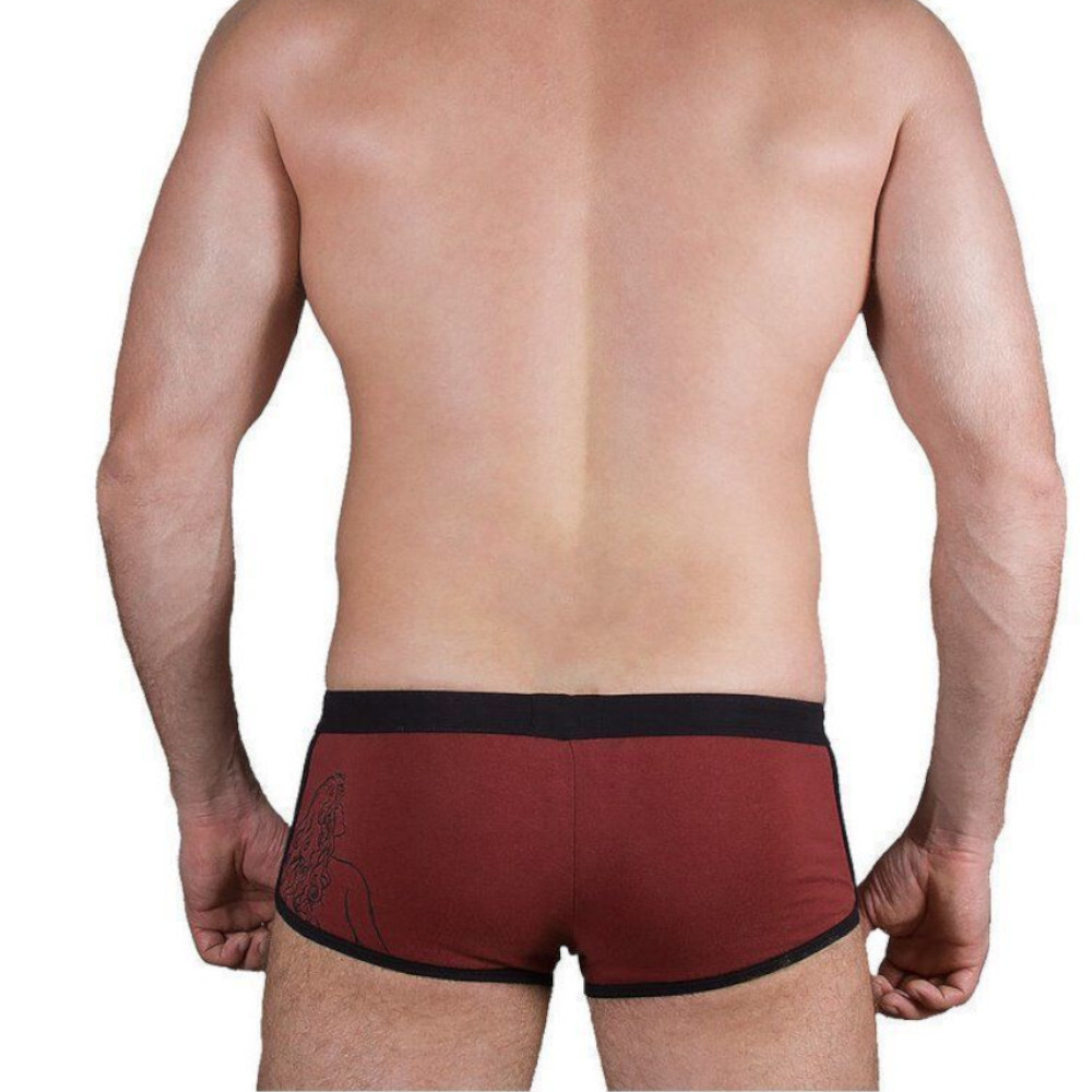 Хипсы Massi VDS коричневые